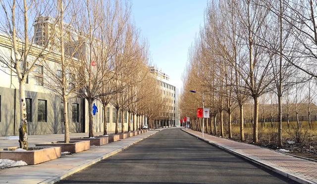 黑龙江生物科技职业学院,黑龙江生物科技职业学院食品