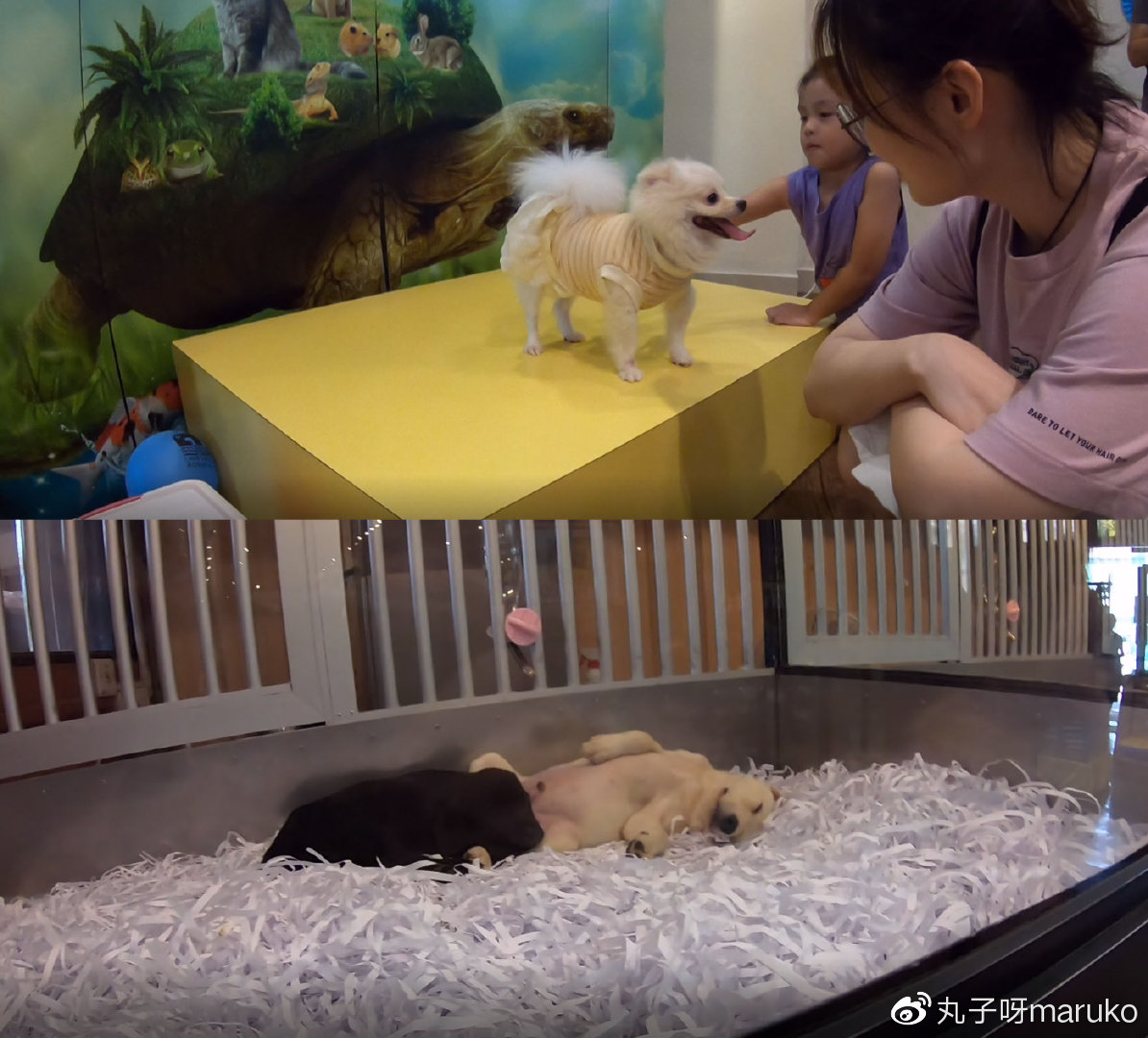 马来西亚槟城欢乐假期之旅,马来西亚槟城自由行