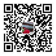 广州比较有名的学校有哪些,广州有没有什么学校比较好的