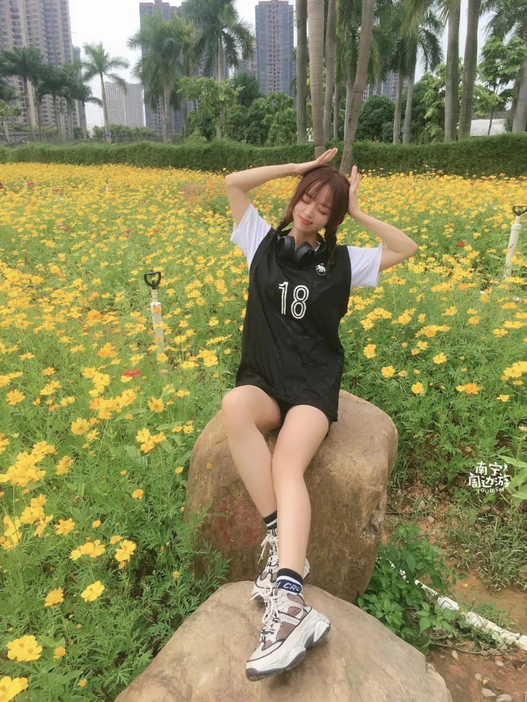 南宁花海公园在哪里,南宁嘉和城附近花海