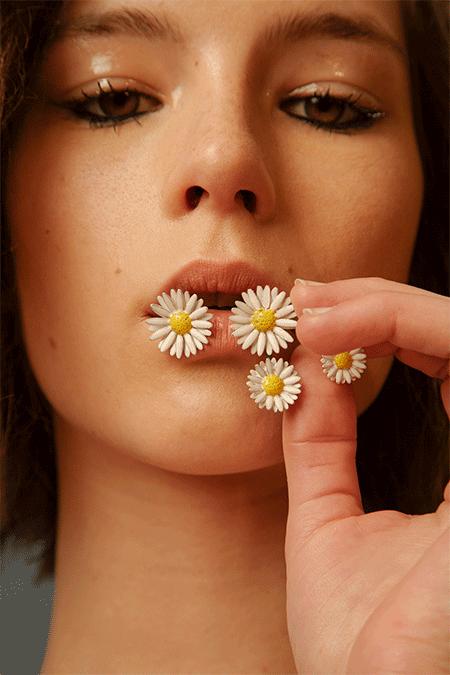 权志龙关于爱情,关于权志龙小雏菊所有资料