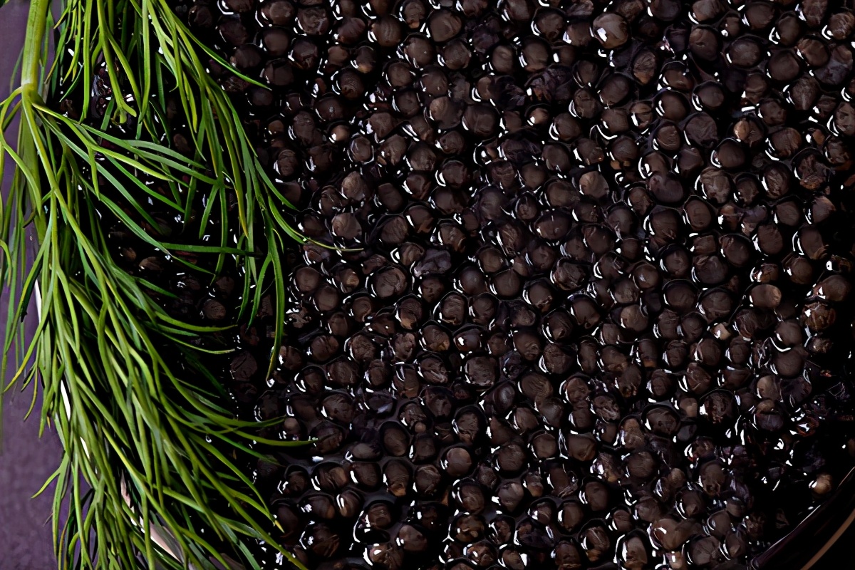 “鲟”味之旅:鱼子酱邀您一同开启味觉盛宴