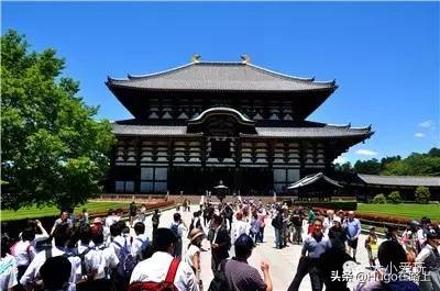 日本东京新宿亲子游自由行攻略,日本亲子游走关东还是关西