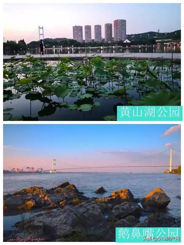 江阴最有潜力的学区房,江阴好的学区房有哪些