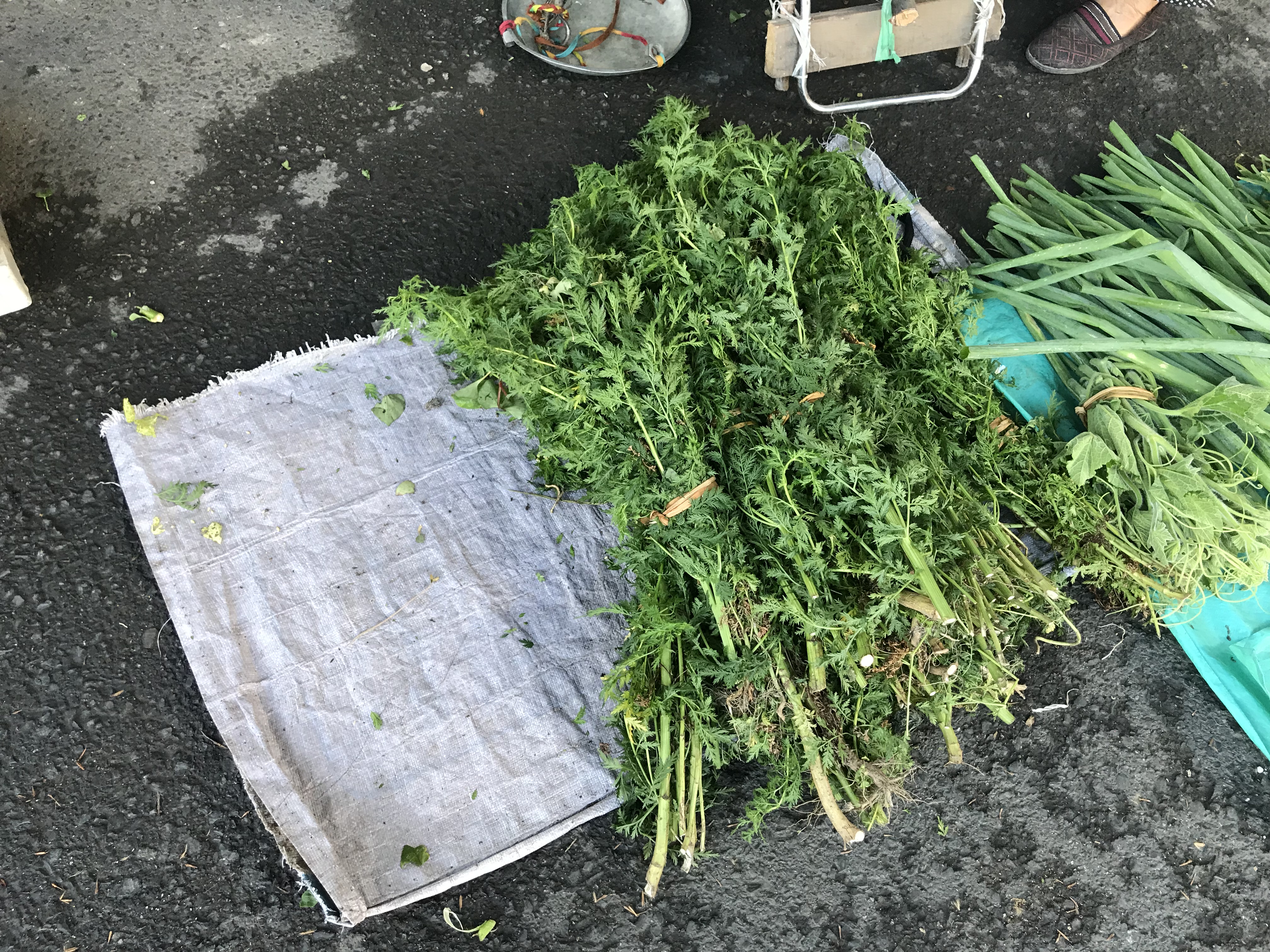 端午节来了4元一把的艾草菖蒲你买了吗？