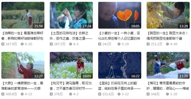 b站上在日本的有名up主,b站up主在抚顺