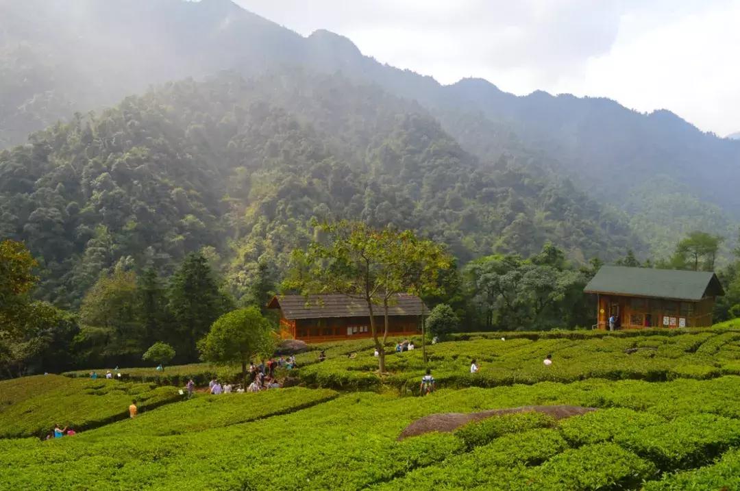 贺州姑婆山天然氧吧,姑婆山天然氧吧