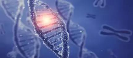 糖尿病饮食三部曲系列第二部,糖尿病系列第四篇