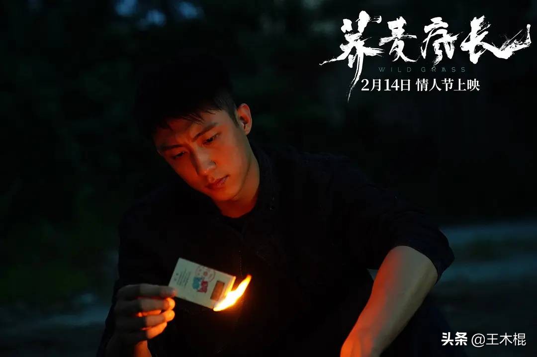 最新的十大必看国产电影,新上映的七部电影