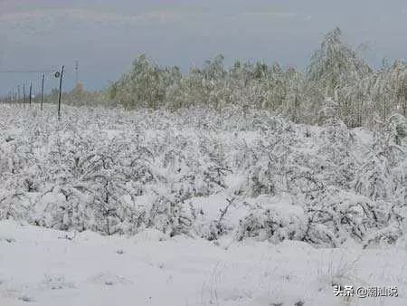中国每隔多少年发生一次饥荒,中国近代的大规模饥荒时间