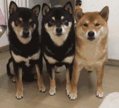 南京南站实行电子客票了吗,南京南站进站最新通知今天