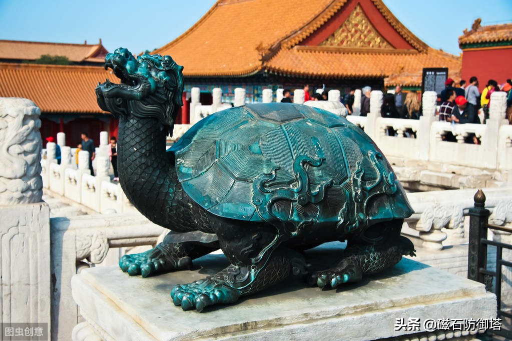 八万年龟为什么那么厉害,千年王八万年龟真的存在吗