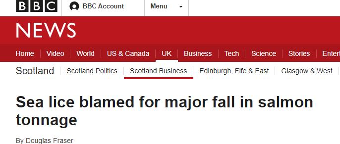 日本三文鱼寄生虫感染,三文鱼寄生虫能杀死吗