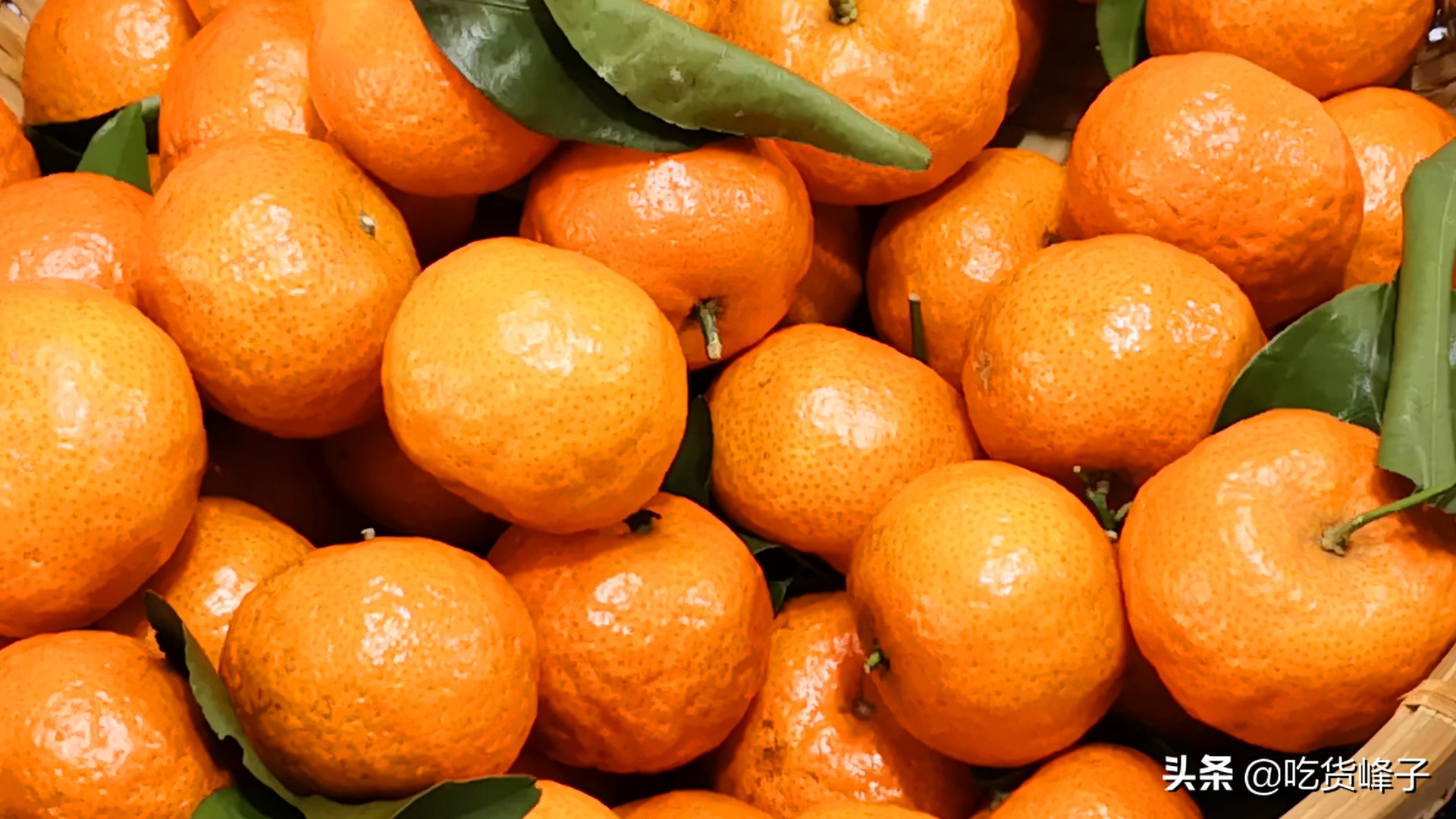 过年必备花生瓜子砂糖橘,过年吃沙糖桔代表什么