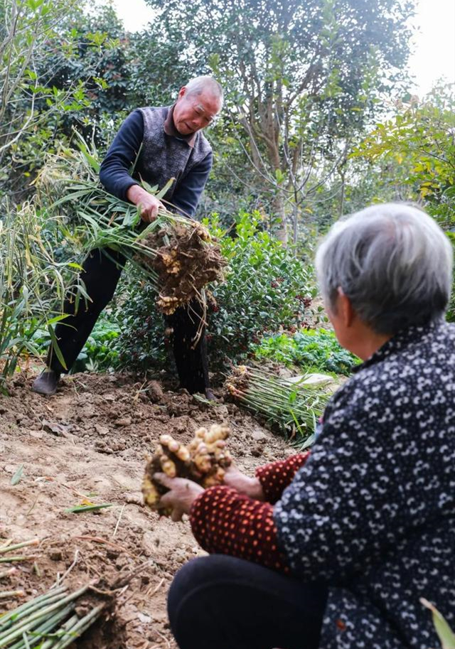 1915年巴拿马博览会发了多少金奖,1915年巴拿马国际博览会