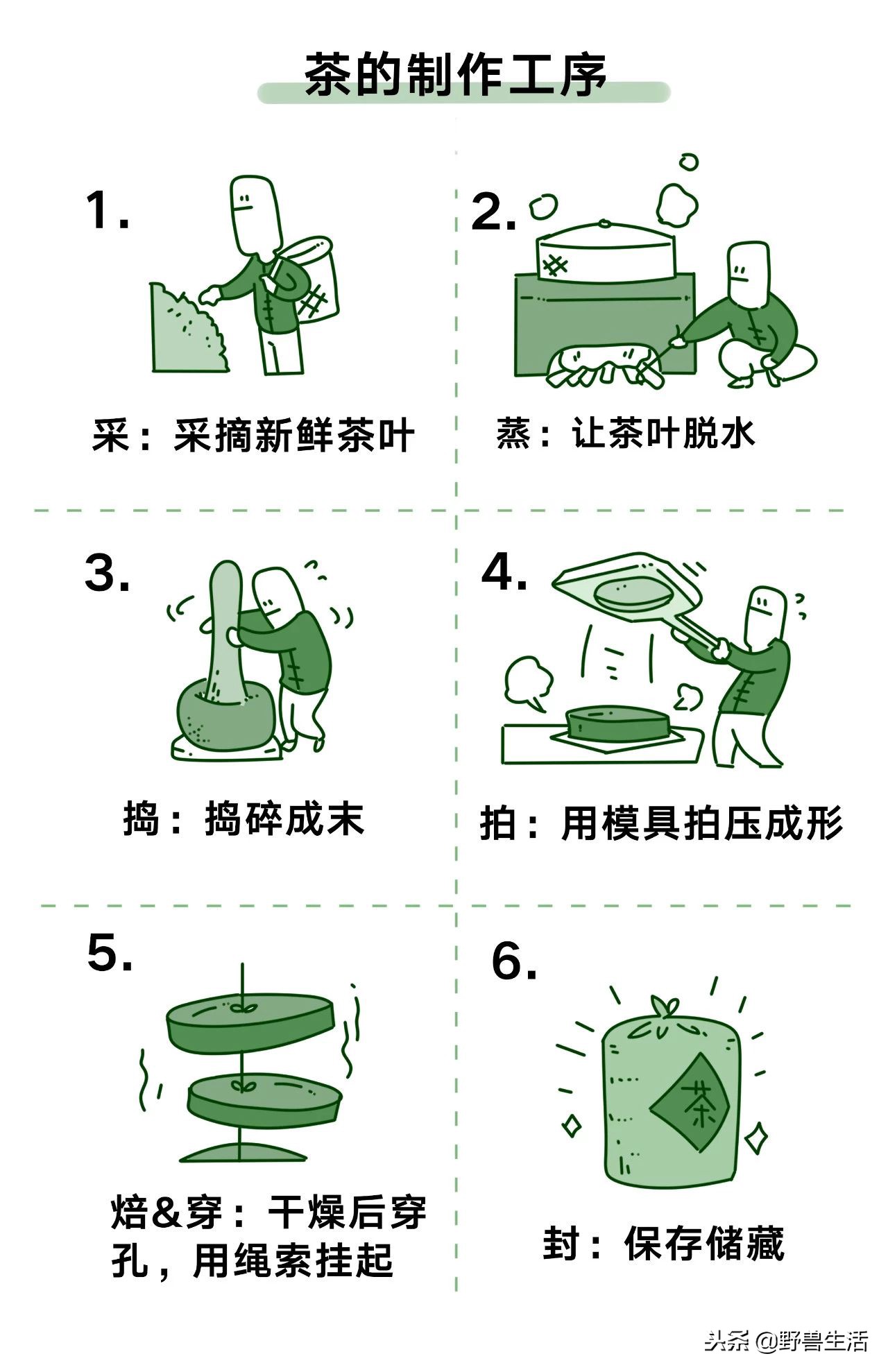 养胃抗衰老刮油的茶,喝这个茶竟能抗衰老