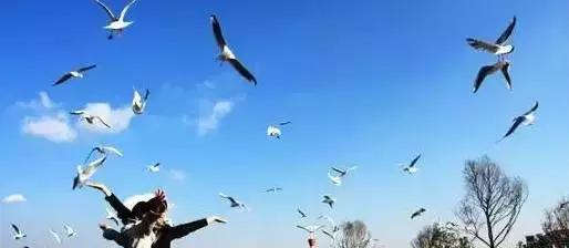 这20首才华横溢的诗你都见过吗,才华横溢的诗句有哪些