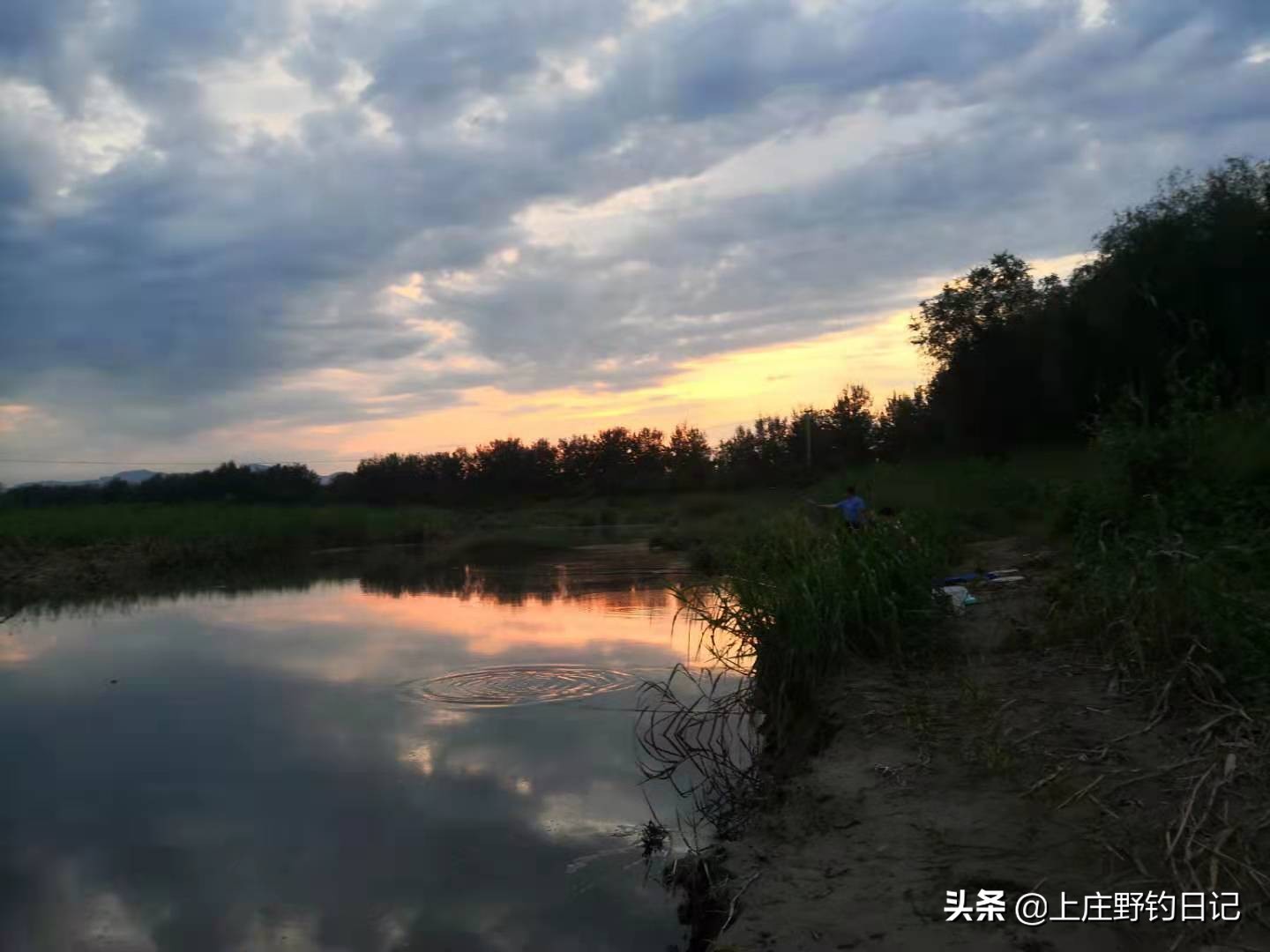 舅舅和我钓鱼的日记90字,钓鱼日记30000字