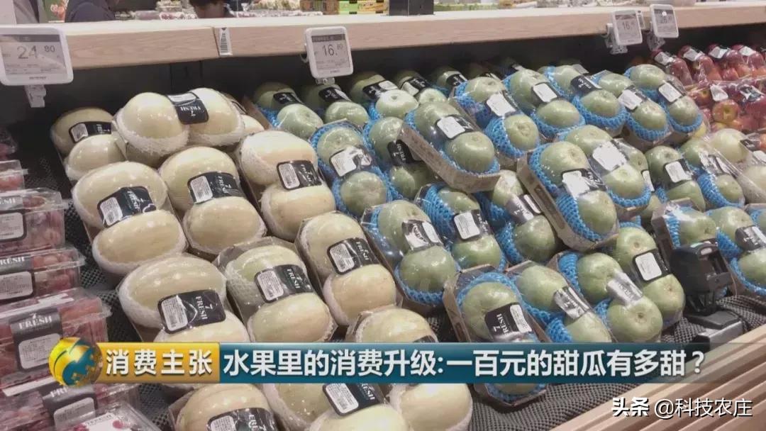 甜瓜最好卖的有哪些品种,菠萝猕猴桃芒果甜瓜什么最贵