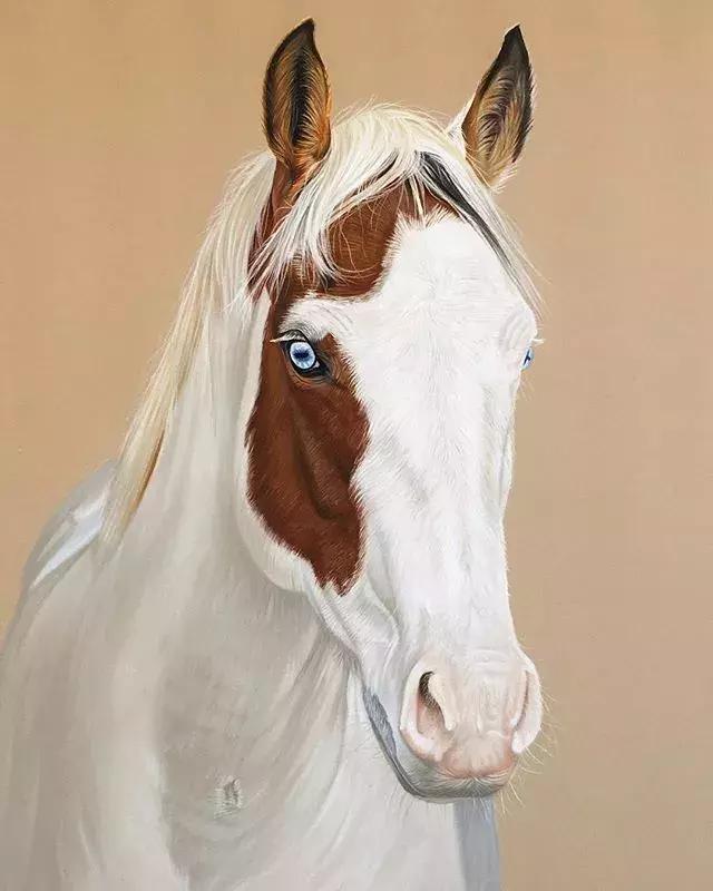 彩铅不会涂色怎么办,彩铅绘画干货