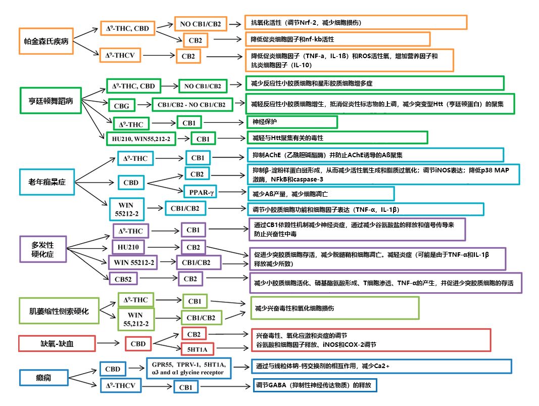 thc与cbd,thc与cbd是否可以互相转换
