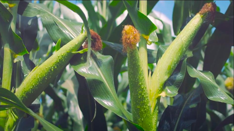 广特播报栏目,广特播报上海