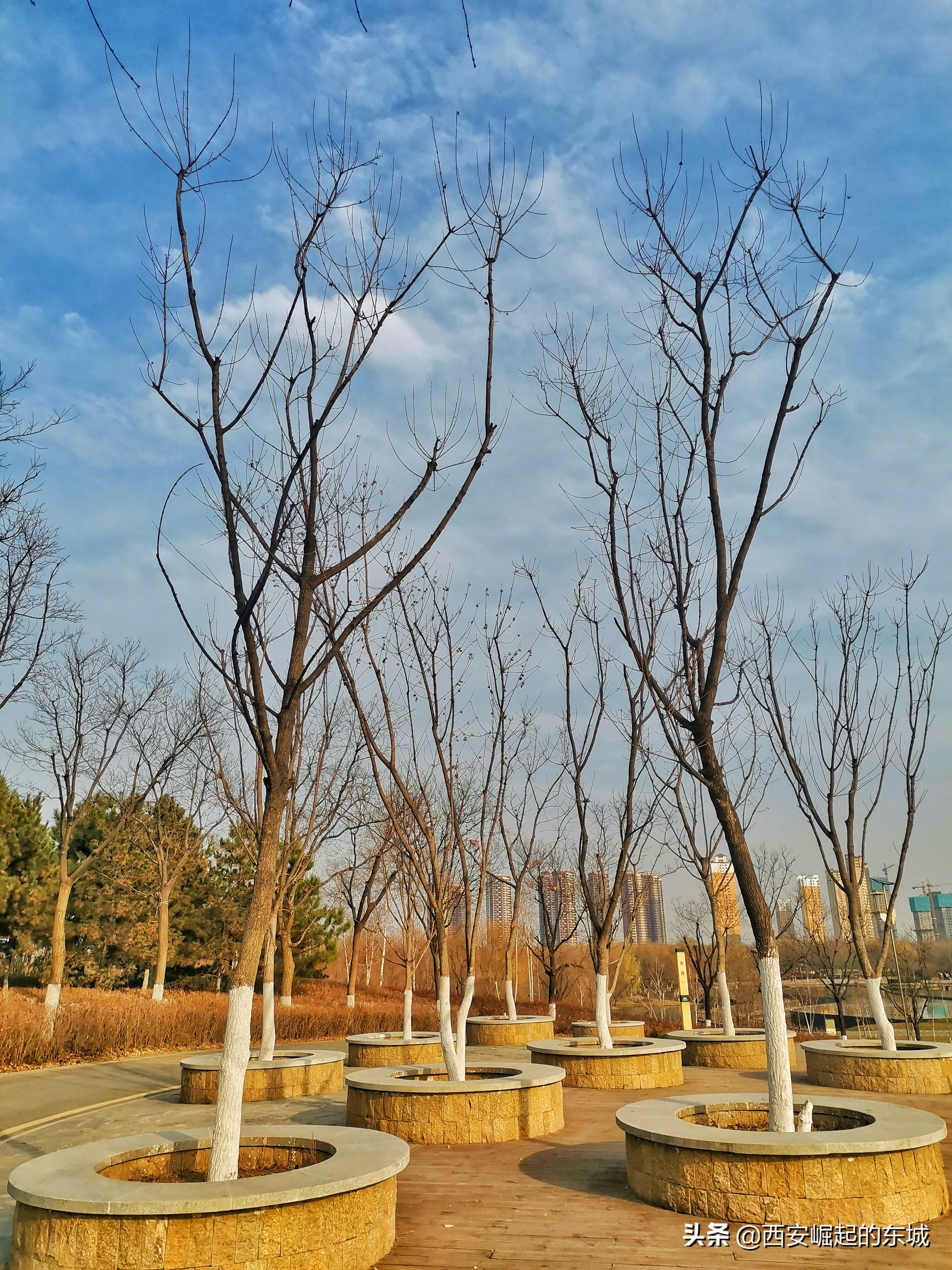 西安浐灞国家湿地公园最美航拍,西安市浐灞国家湿地公园