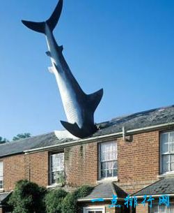 全球十大不可思议的雕塑,世界十大奇怪的雕塑