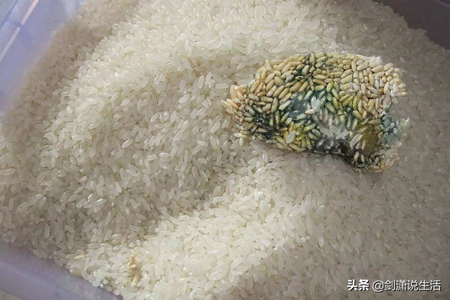 食物的异味怎么办小妙招,去除冰箱食物异味最有效的方法