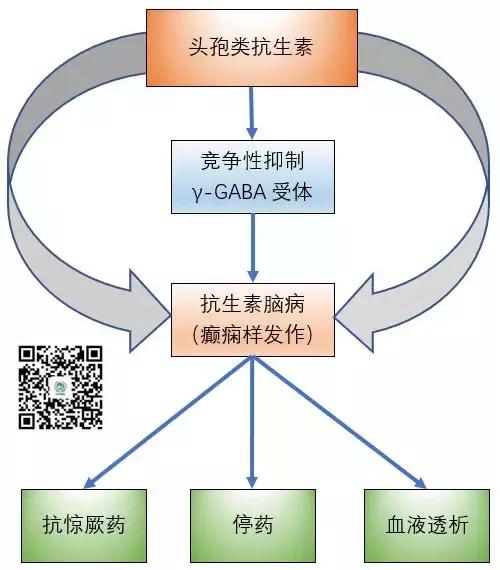 头孢类抗生素脑病,头孢类抗生素可引起脑病吗