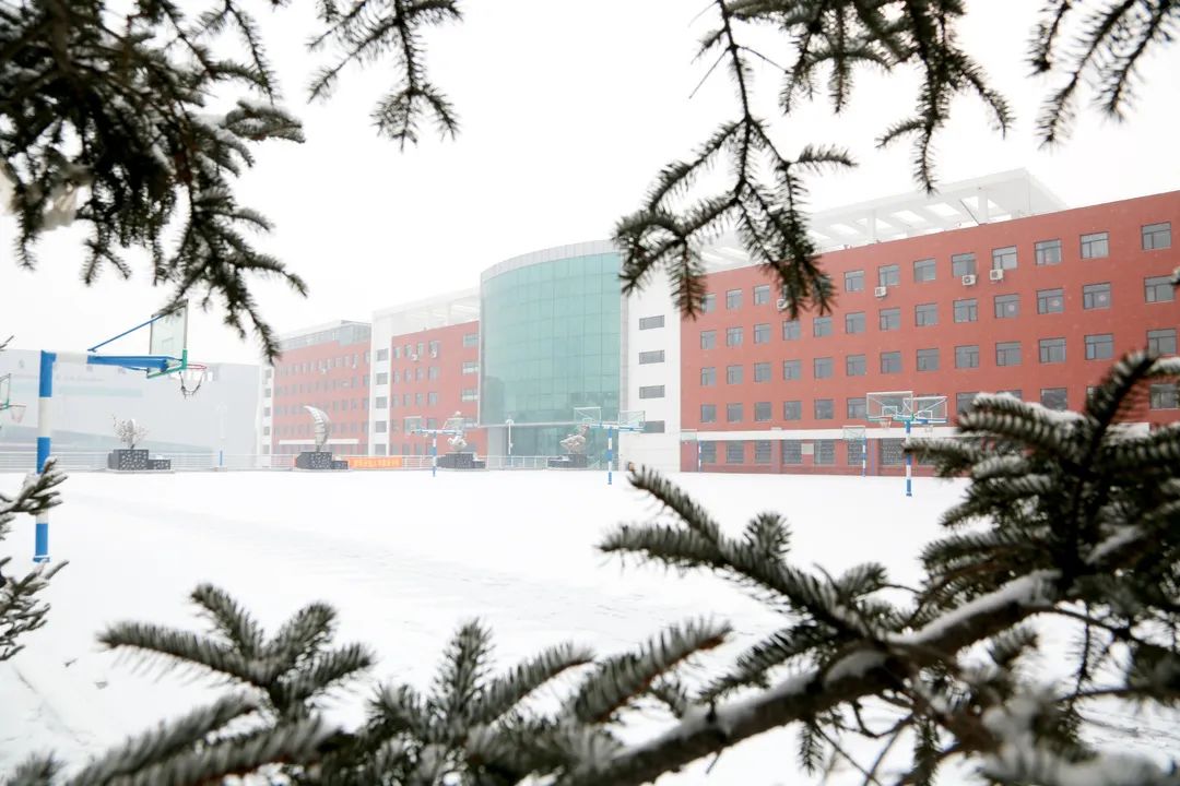 小升初首师大附中难吗,小升初选择贵校的原因