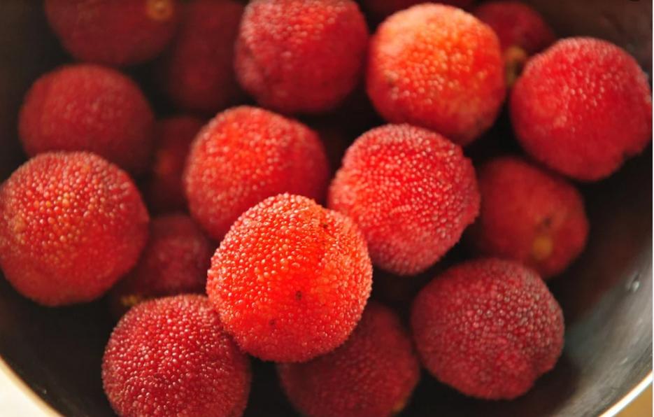 六种食物对孩子危险,十种危险的食物孩子吃了会变傻