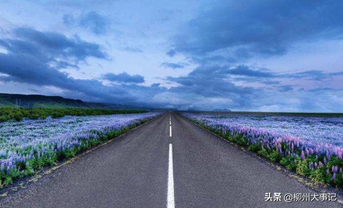 属鸡的几月有横财,属鸡的人哪些年有横财