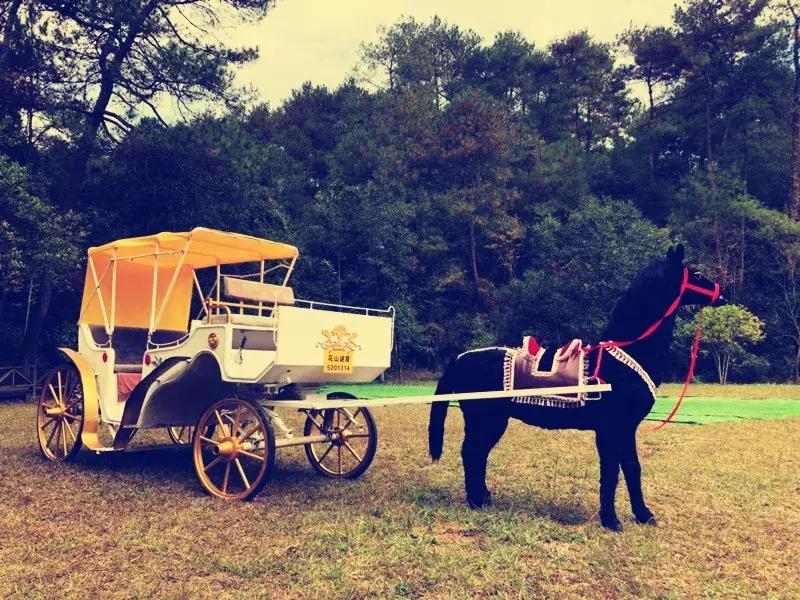花山谜窟星期三免门票怎么预约,抓紧时间来赏秋