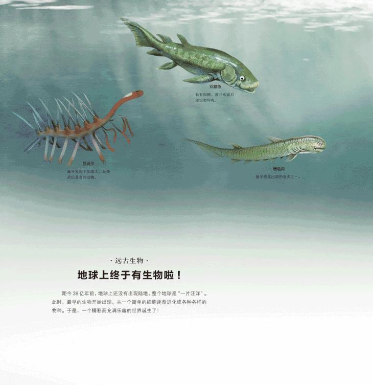 怎么教低龄孩子学历史,孩子学历史入门