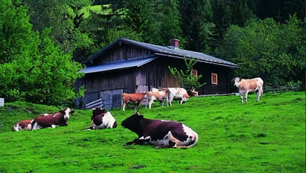 好看的带空间类小说推荐,随身空间田园小说