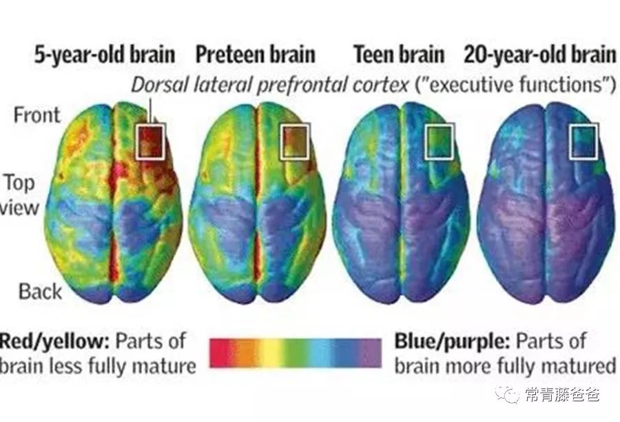 父母毁掉亲子关系,父母怎么毁掉亲子关系