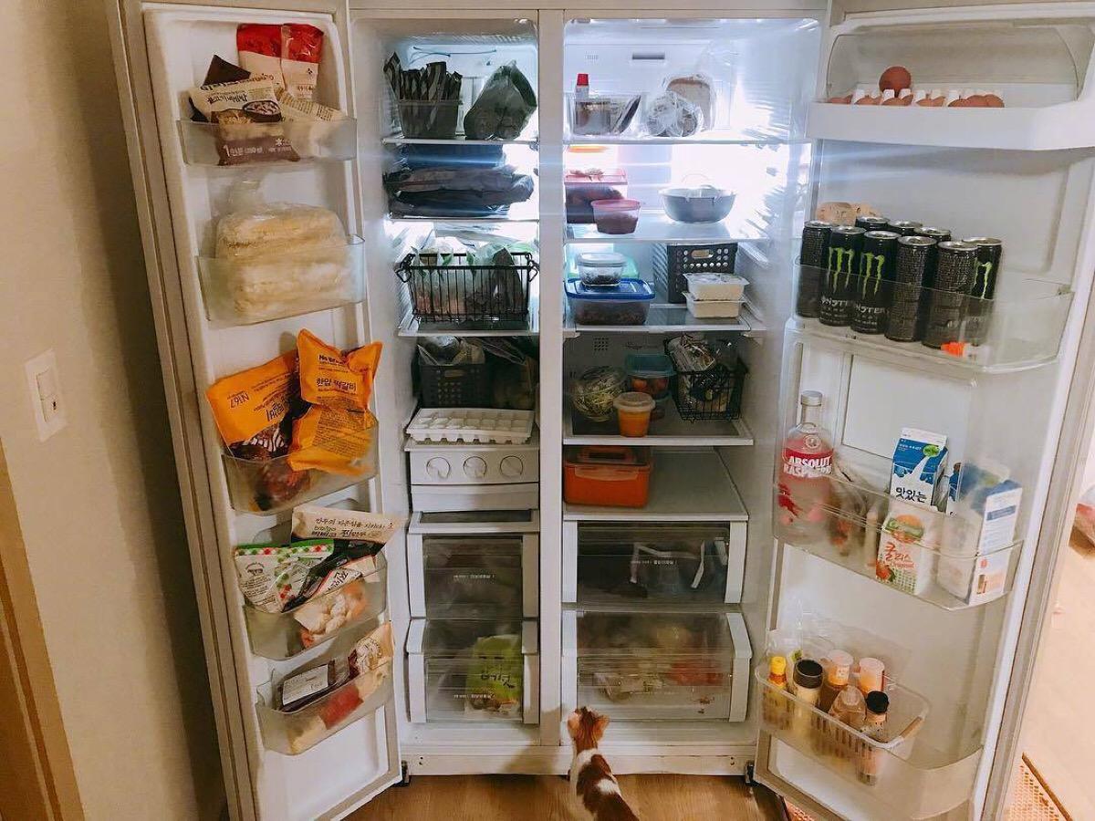 松下海尔西门子冰箱选哪个,东芝松下西门子博世冰箱怎么样