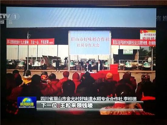 农民专业合作社创新模式,引导农民专业合作社规范化发展