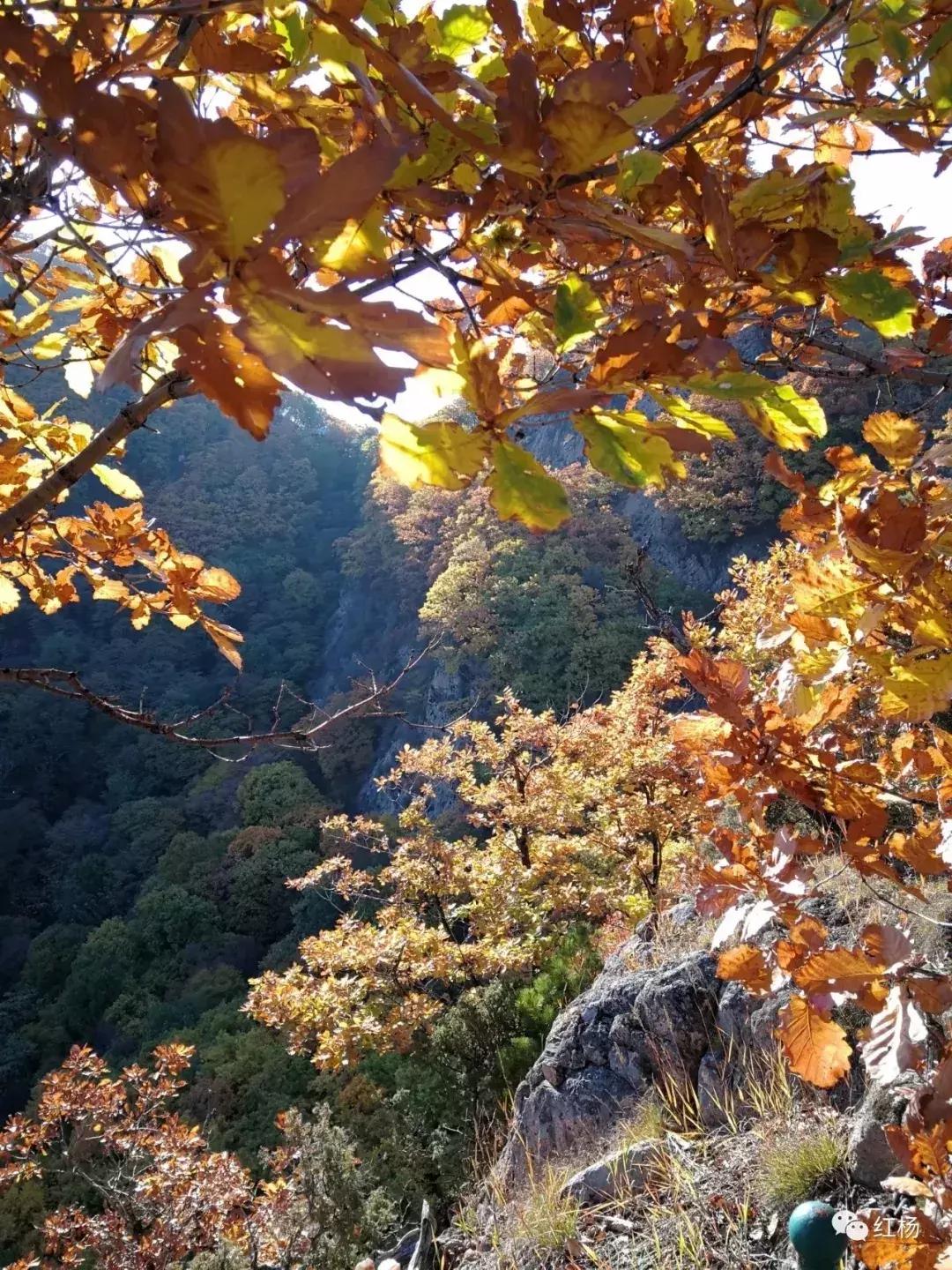 五一免门票景区吉林,十一吉林市景区免门票