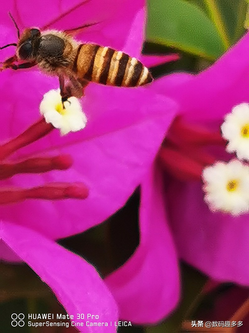 5分钟告诉你：大疆OsmoMobile3的拍照和视频技巧