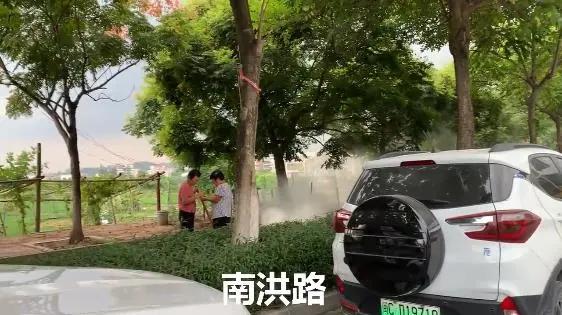 小车抄4遍摩托抄2遍！南安又有一批人因违停抄8113字条例