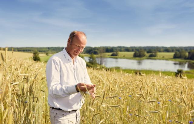 hipp德国喜宝发布会,hipp喜宝有机奶德国版怎么样