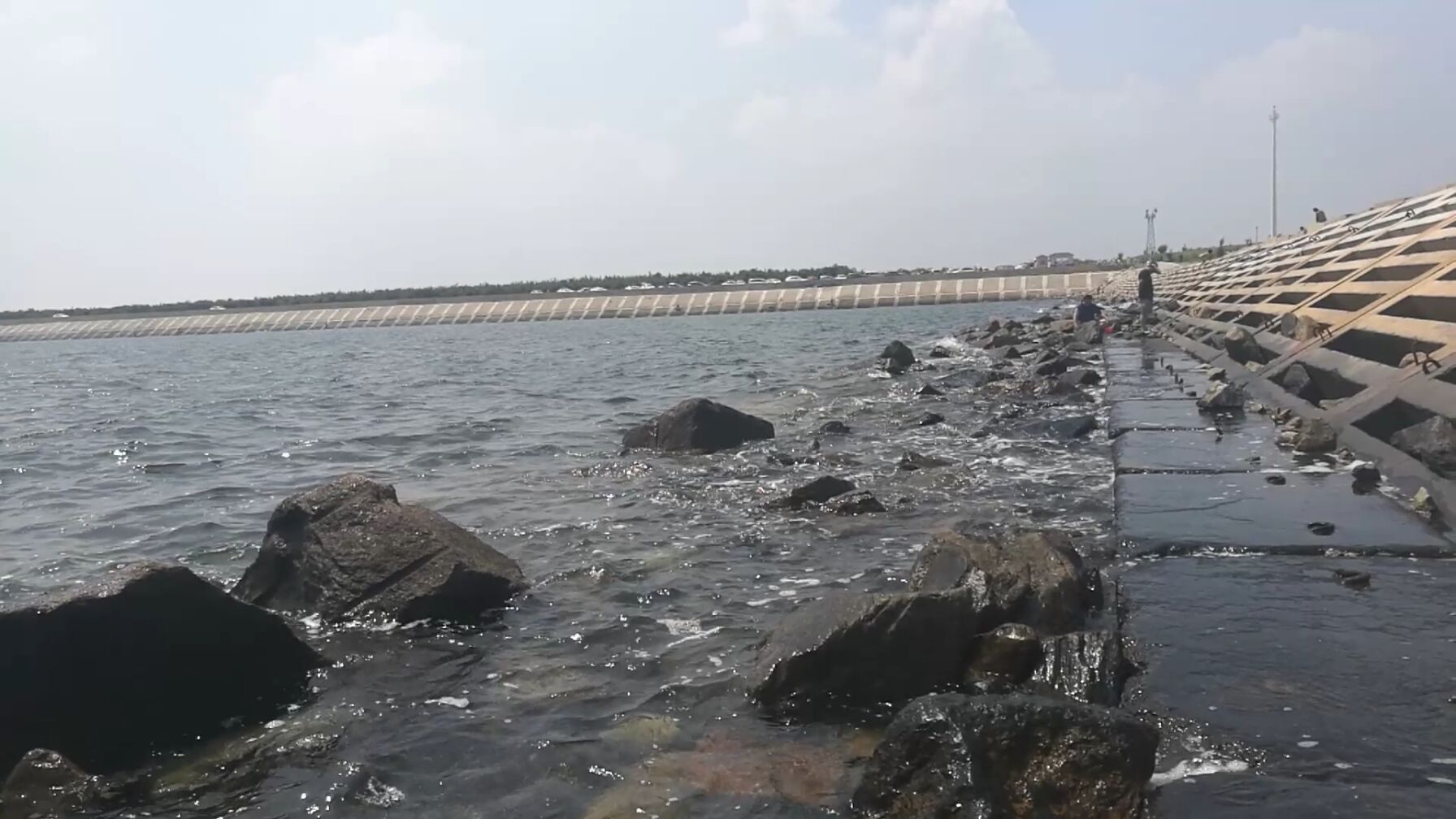 最新潍坊北海赶海抓螃蟹最佳位置,潍坊北海抓螃蟹