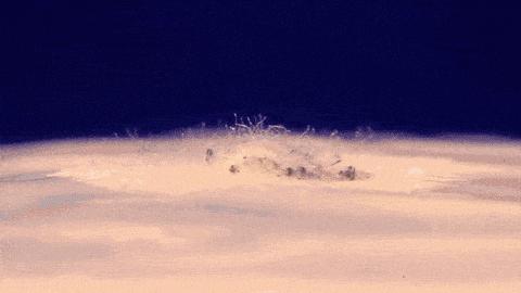 真香!用蘑菇做皮包,爱马仕你赢了