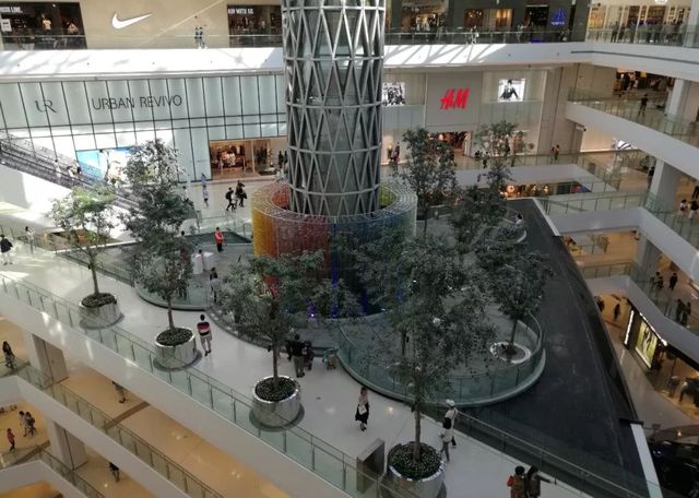 老上海的卢湾区,老上海人回忆卢湾区