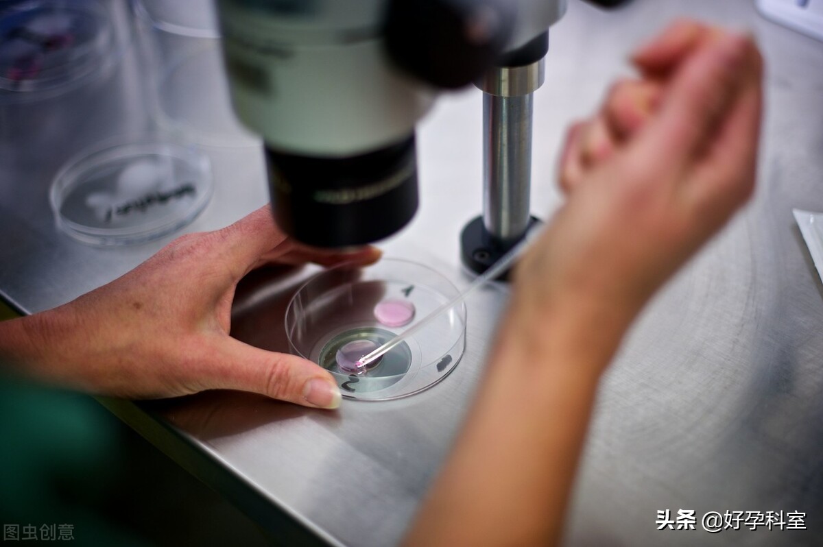 试管怎么提升妊娠率,试管婴儿怎样提高受孕成功率