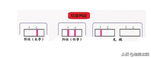 把健康带回家完整视频,把健康带回家dj完整版