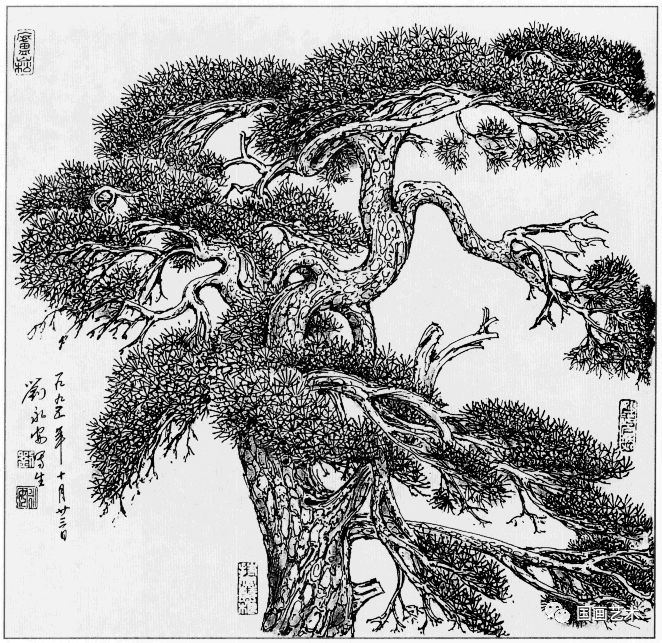 日式线描松树波浪纹,深度线描儿童画松树