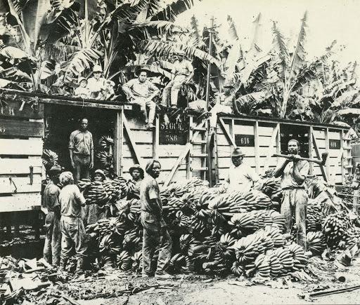 危地马拉所有结局,危地马拉死亡率